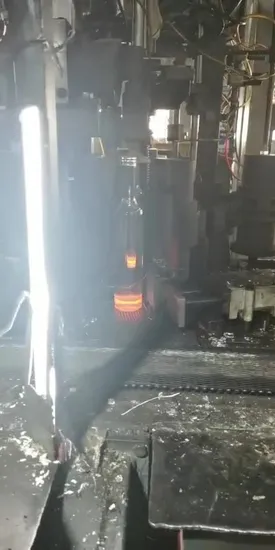 짧은 목 둥근 사각형 250ml 350ml 375ml 500ml 700ml 750ml 1000ml 유리 주류/주정/와인/브랜디/보드카/위스키/진/뚜껑이 있는 럼 병